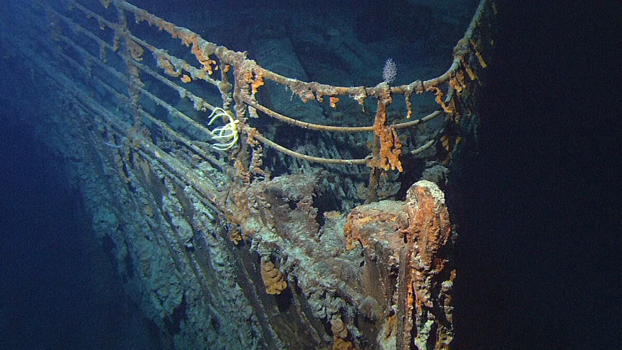 Halomonas Titanicae