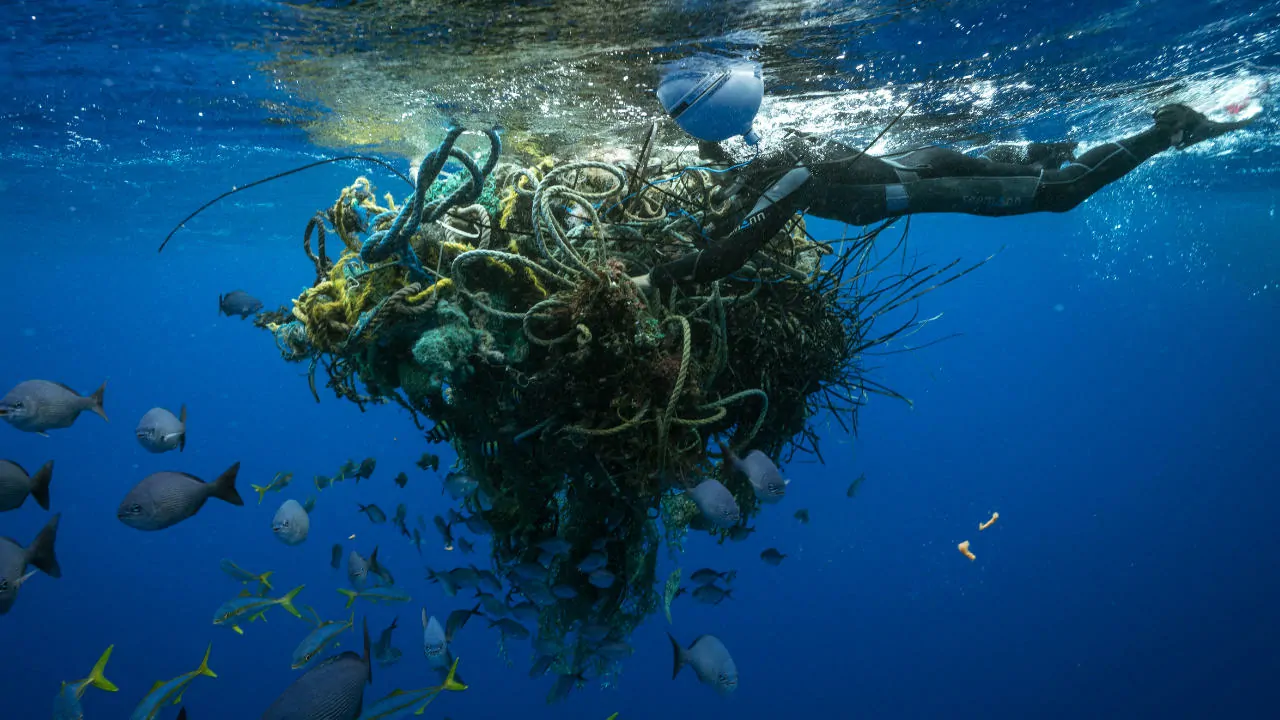 fishing nets